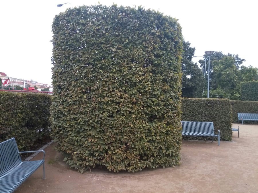 park Lannova