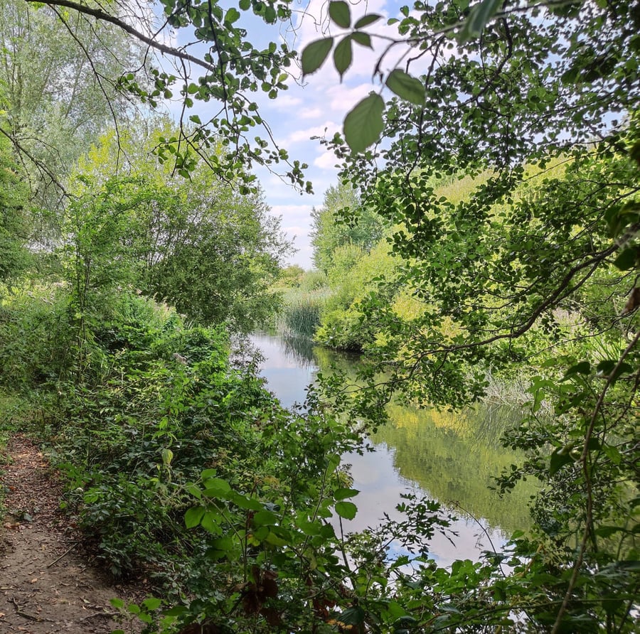 River Kennet wild swim