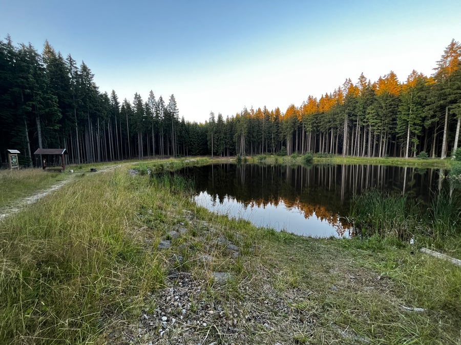 Lesní rybník Ruda