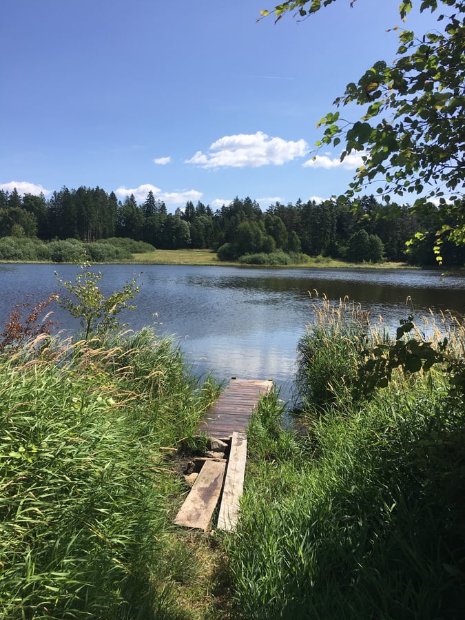 Hluboký rybník