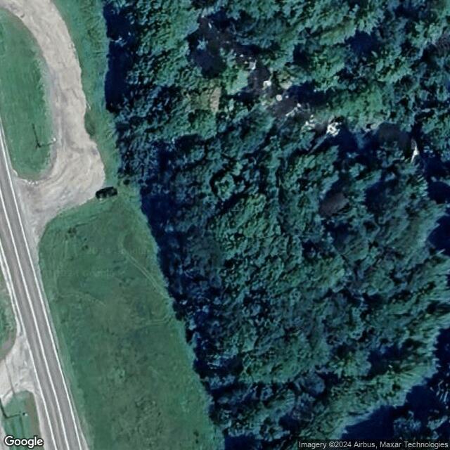 Local swimming hole