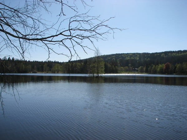 Rybník Kladská