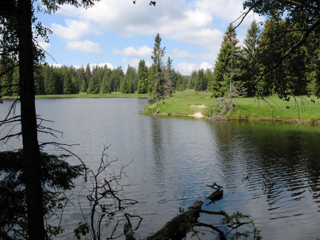 Mýtský rybník