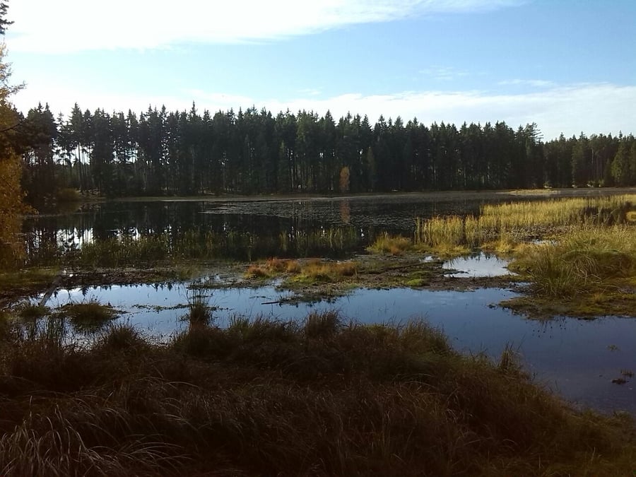 Nový rybník