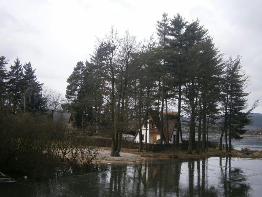 Velký rybník, Velas