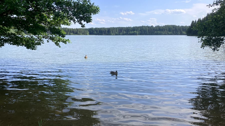 Rybník Medlov