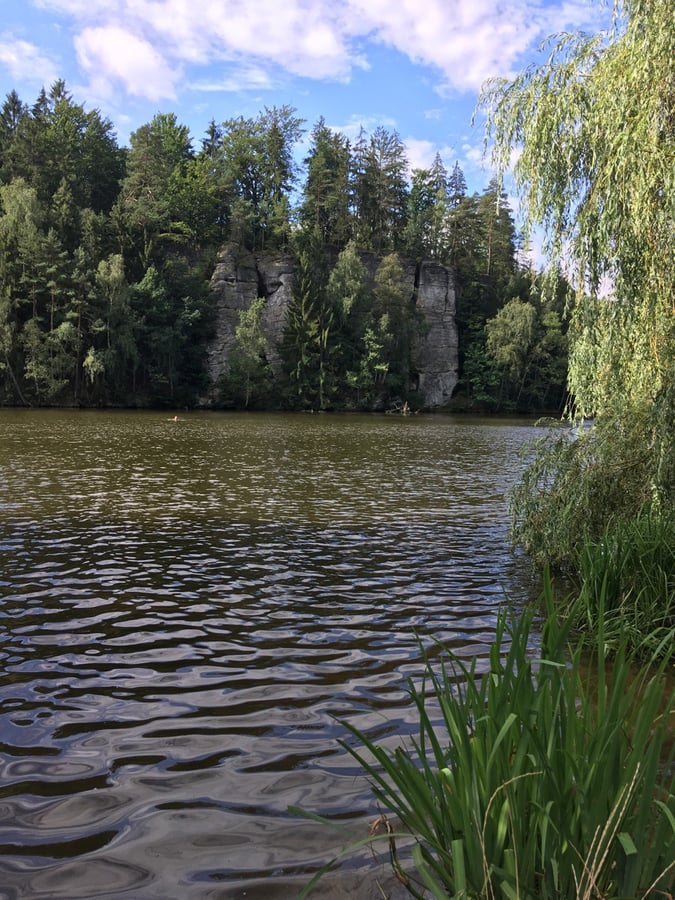 Věžický rybník