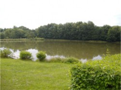 Rybník Motol