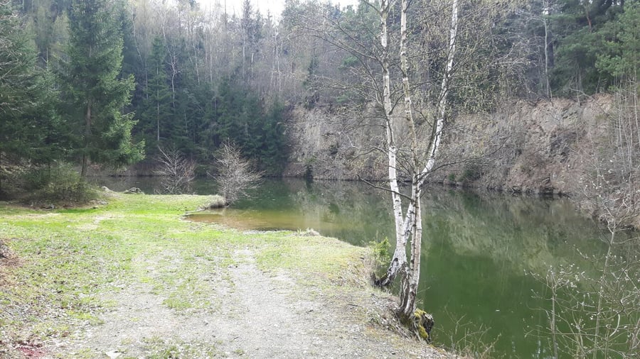 Baldovec