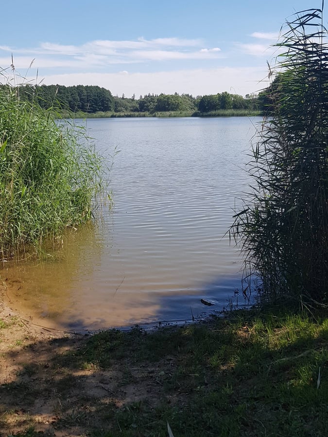 Starý rybník