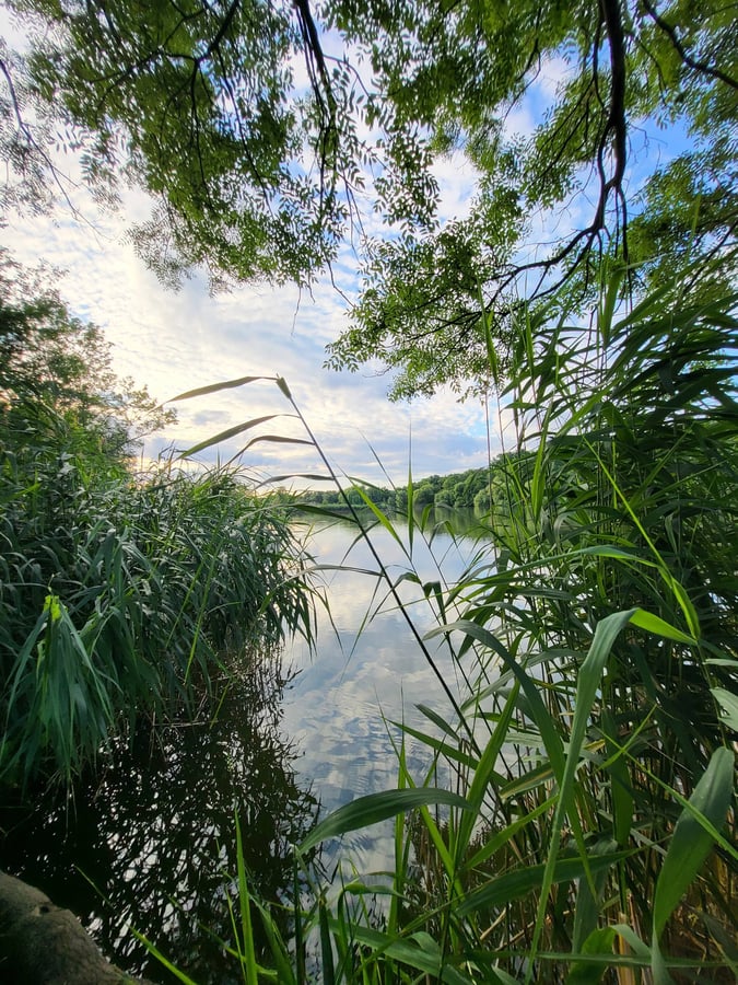Počernický rybník