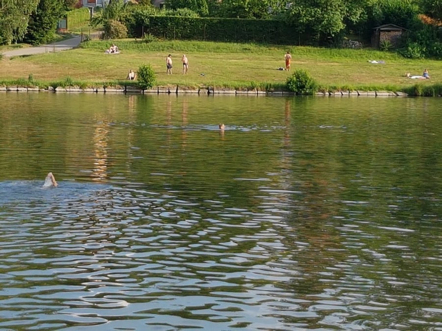 Mirošovický rybník