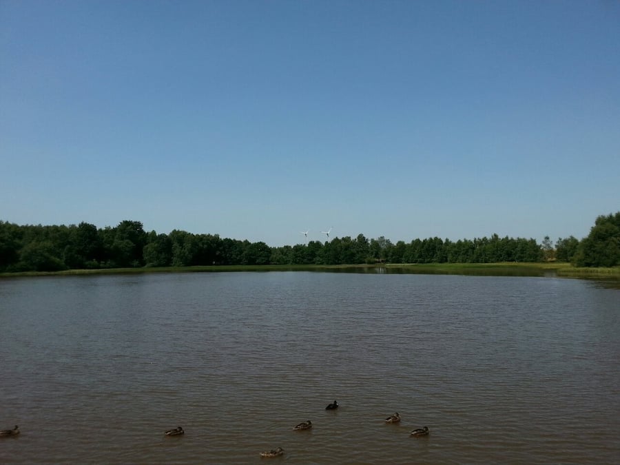 Cihlák
