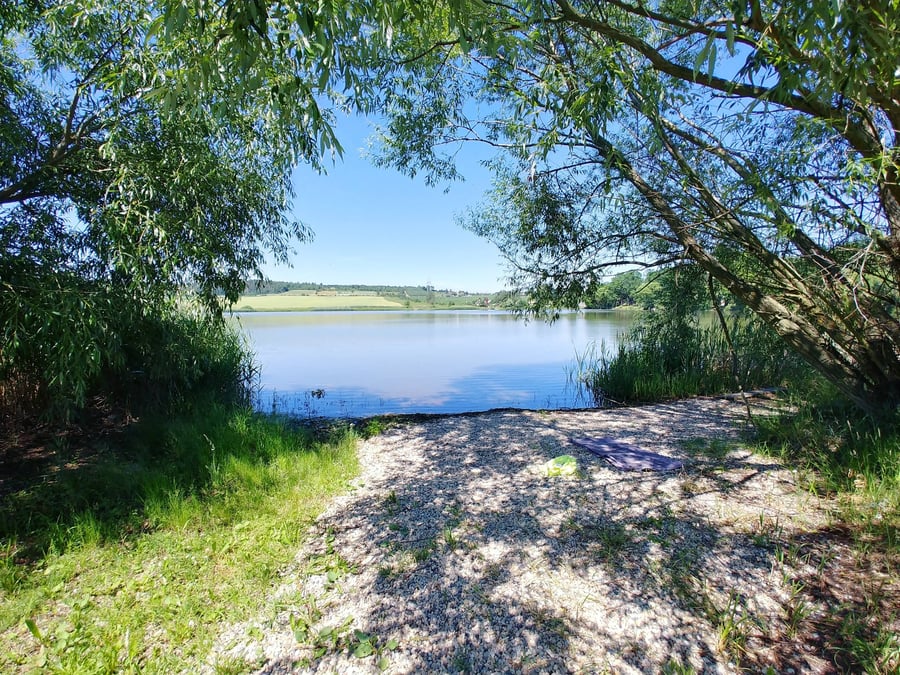 Bucký rybník