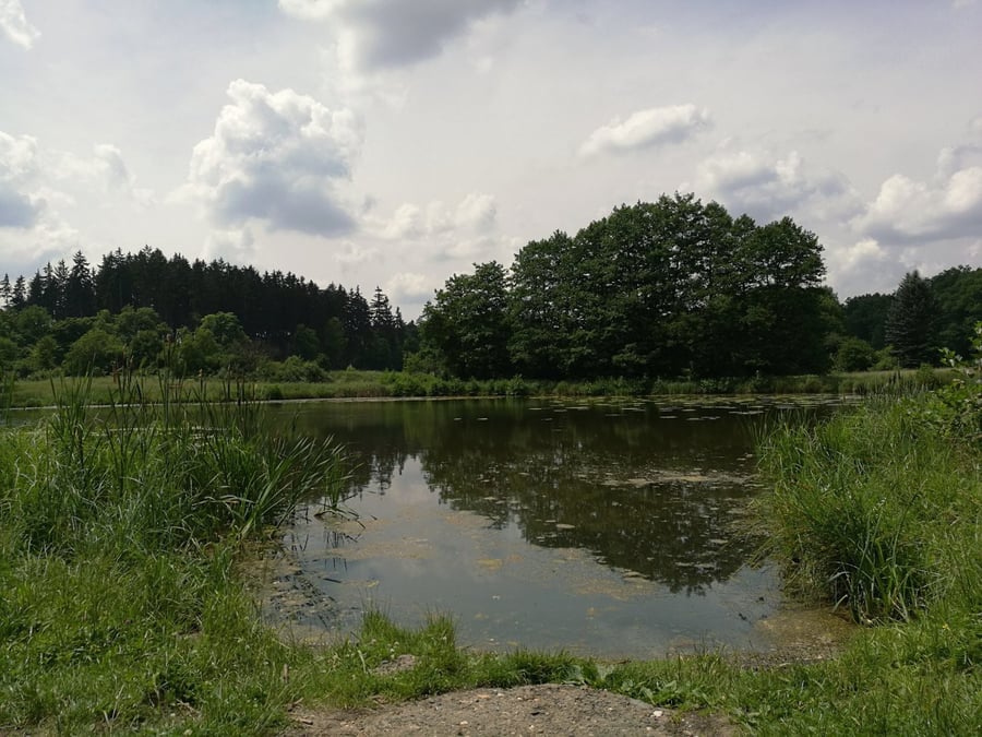 Pánovka