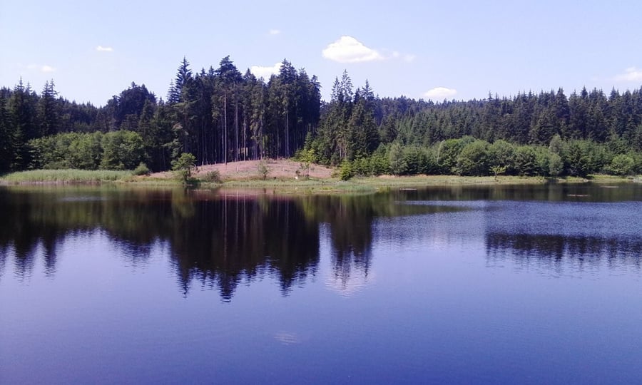 Pstruhovec