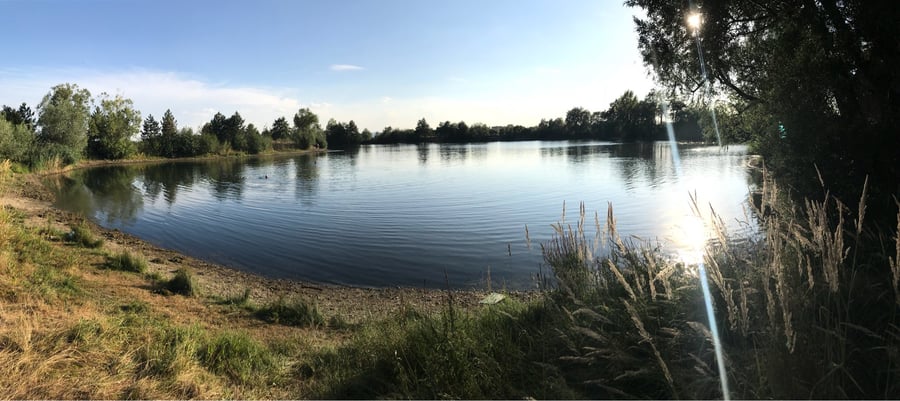 Želechovice