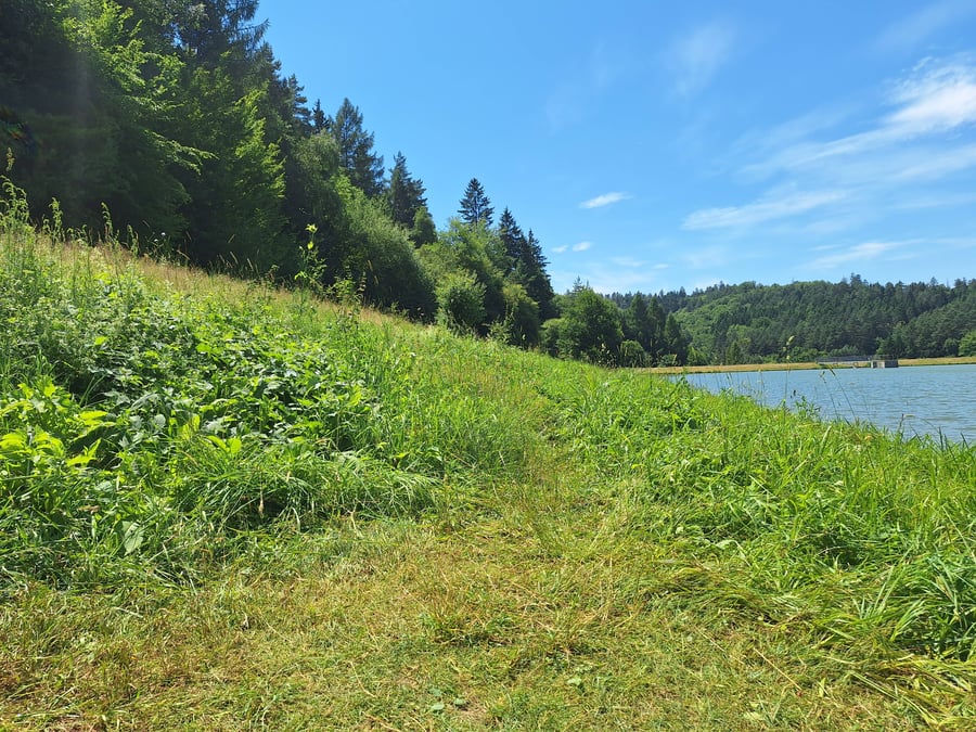 Přehrada Všemina