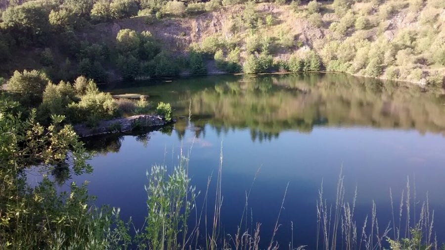 Alberice