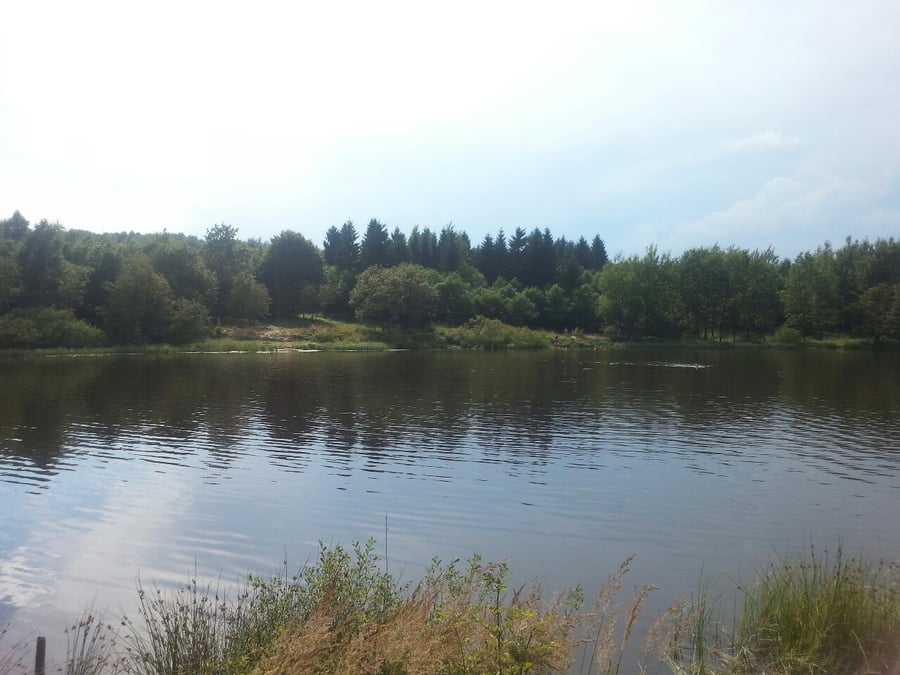 Stříbrný rybník