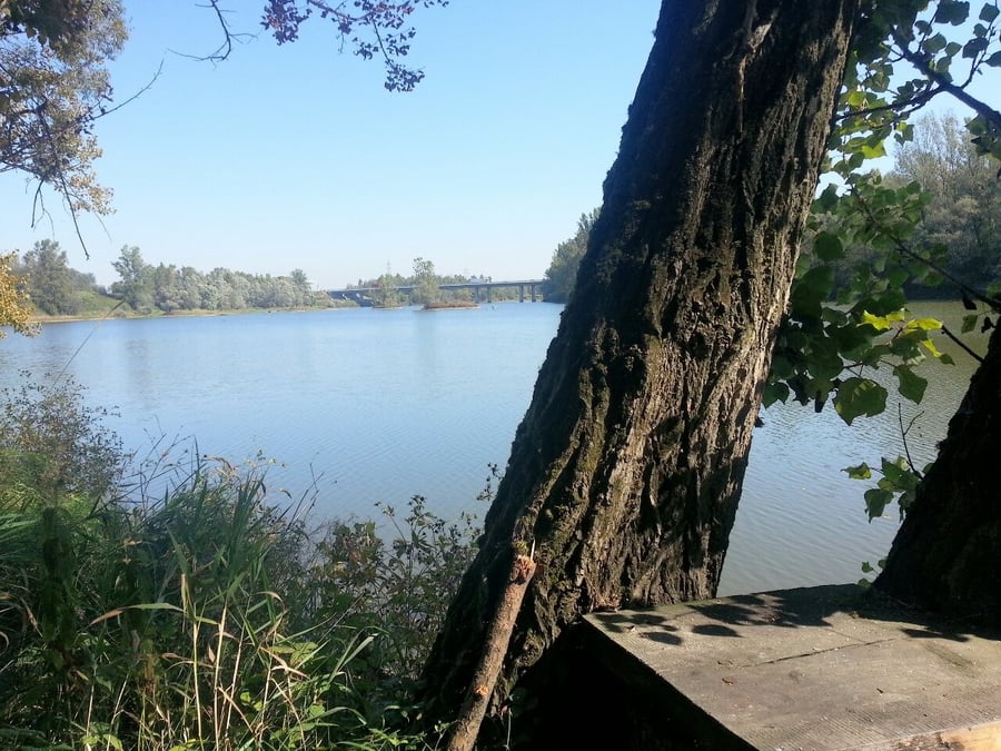Mžíkovec