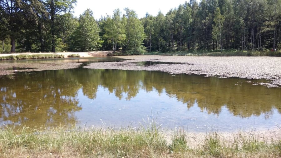 Vlčí jezero