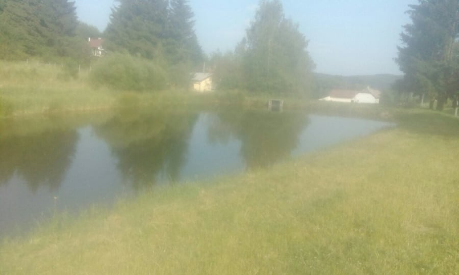 Rybník pod táborem
