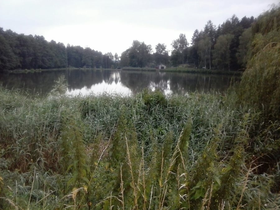 Městský rybník