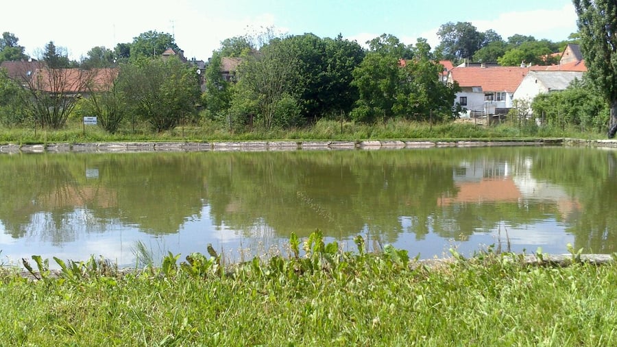 Jemníky