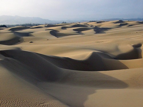 Pismo beaches
