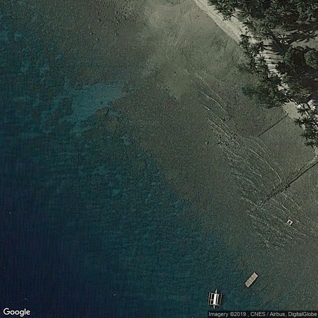 Lobo beach