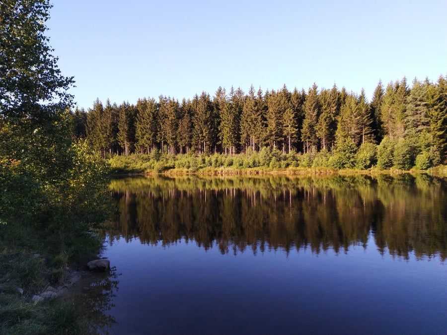 Liščí jezero