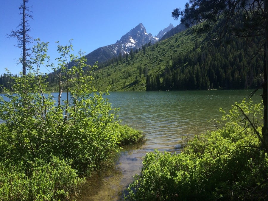 Jenny Lake