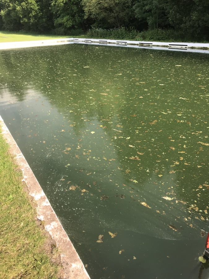 Přírodní koupaliště Bradlecká Lhota