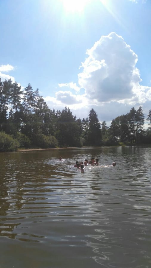 Rytíř