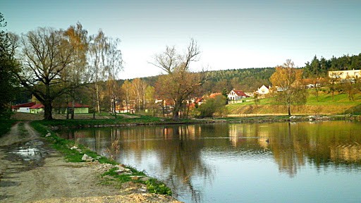 Rybník Ostrov