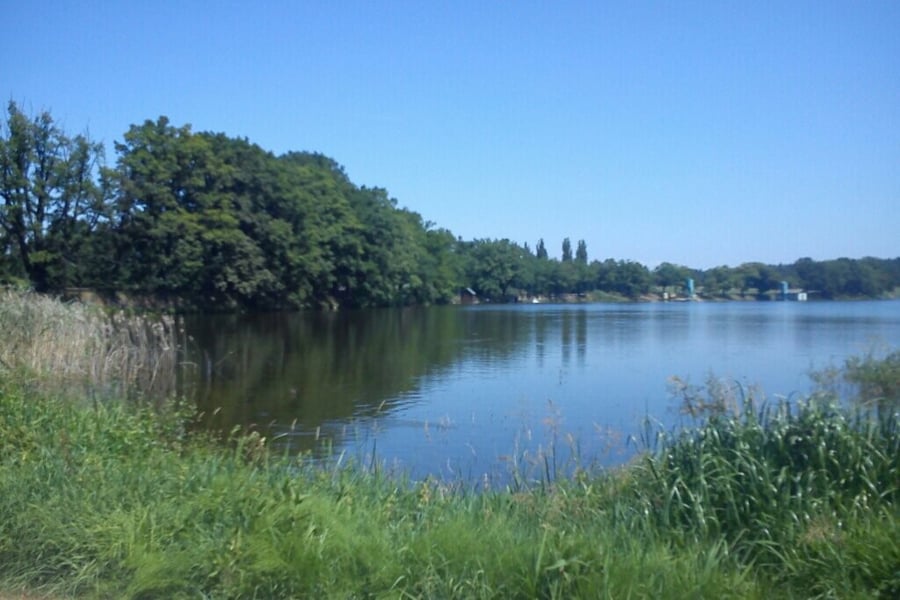 Žárský rybník