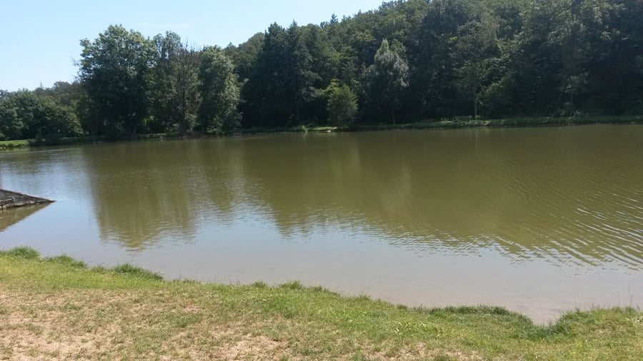 Vrabčí hájek