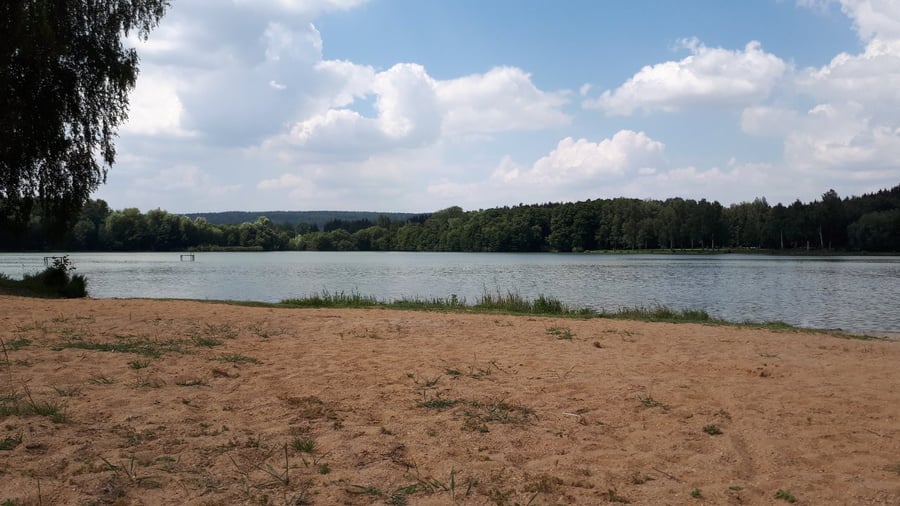 Rosnička
