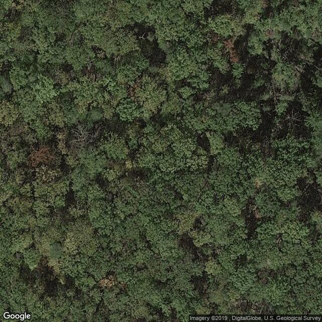 Calvert Cliffs State Park