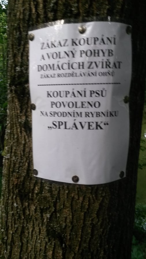 Říčanský rybník