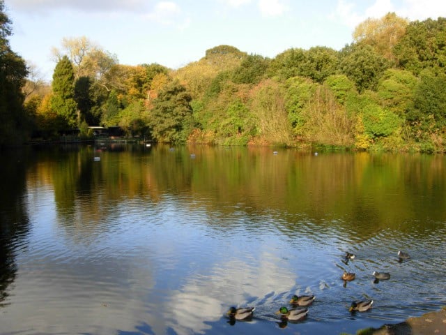 Hampstead Heath