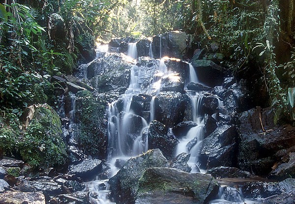 Núcleo Cabuçu