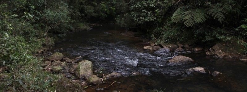 Cachoeira Poço das Virgens