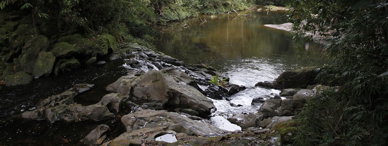 Cachoeira do Sagui