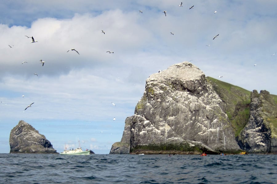 Arquipélago de Alcatrazes