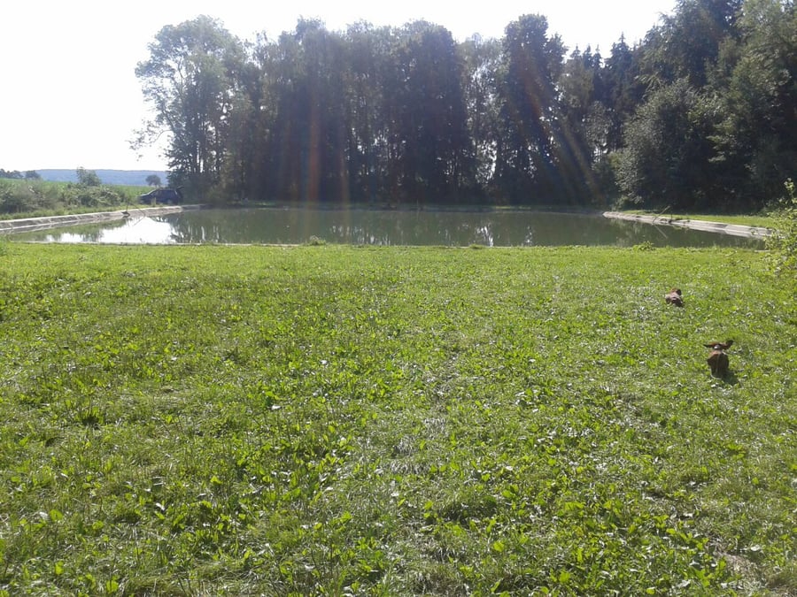 Koupaliště Namyčeves