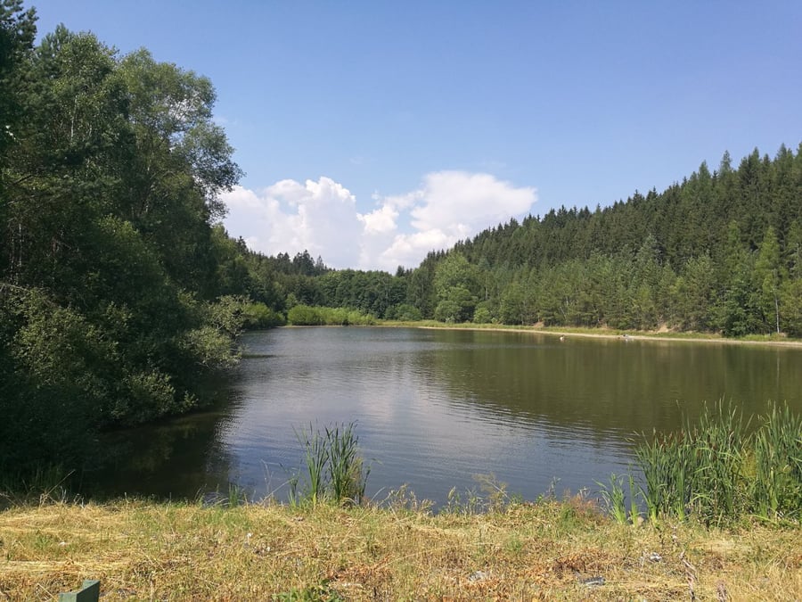Wolmannův rybník