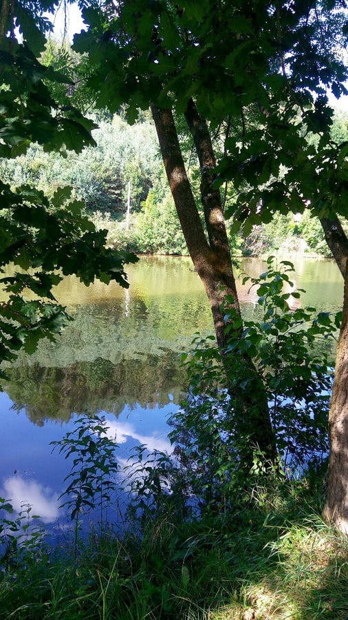 Drhleny