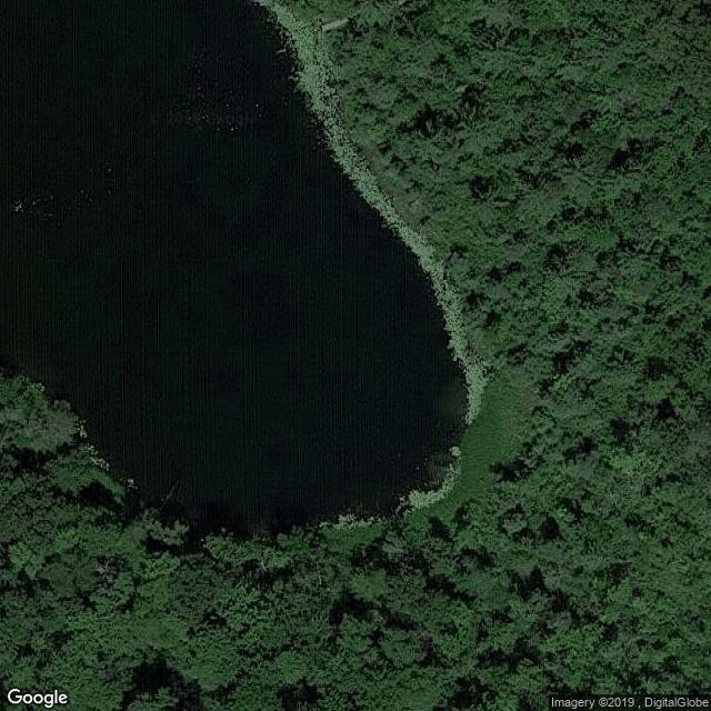 Tamarack lake
